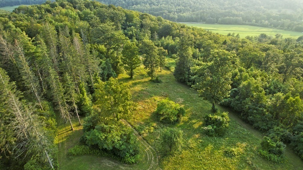 120 Franklin Hill Road Colrain, MA 01340 - Photo 16 of 18