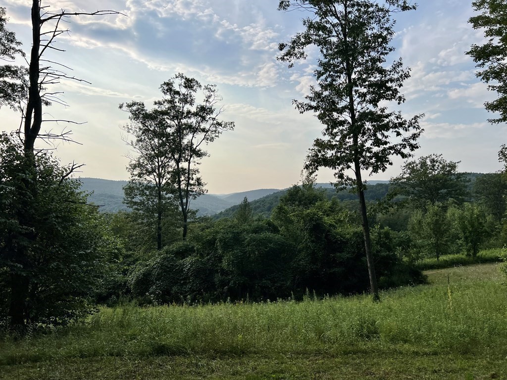 120 Franklin Hill Road Colrain, MA 01340 - Photo 2 of 18