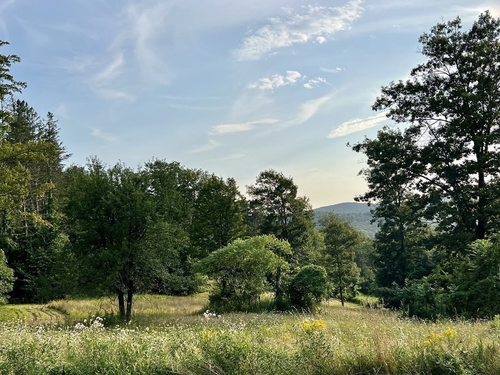 120 Franklin Hill Road Colrain, MA 01340 - Photo 6 of 18