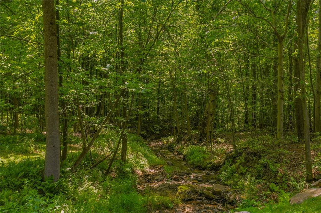 327 Stahl Road Somerset, PA 15501 - Photo 9 of 42