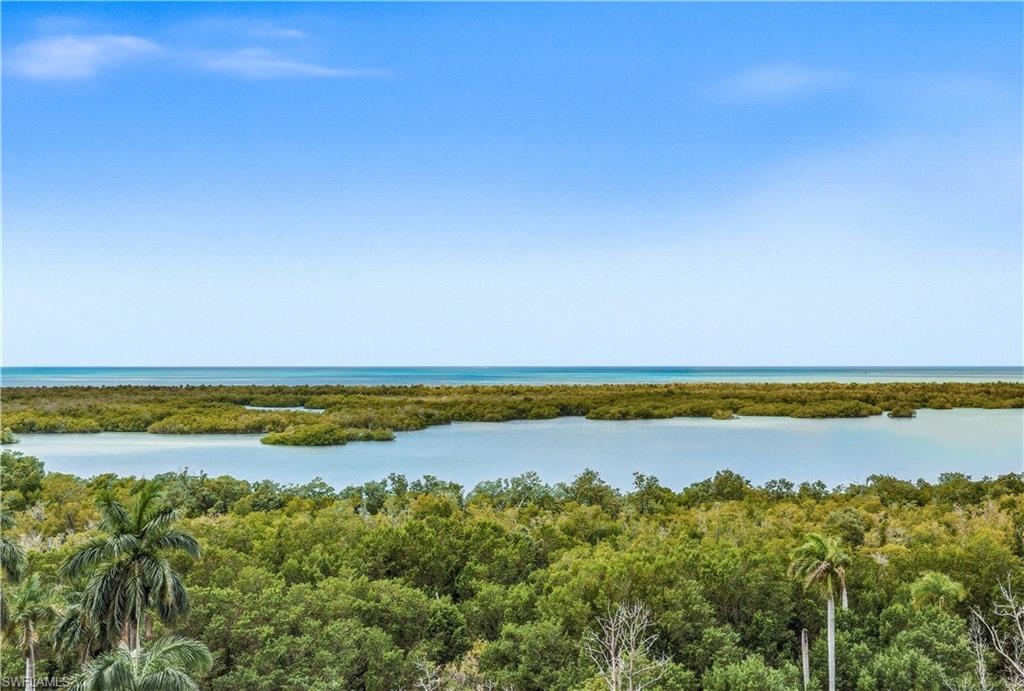 13925 Old Coast Road, Unit 905 Naples, FL 34110 - Photo 24 of 48 a view of an ocean and beach