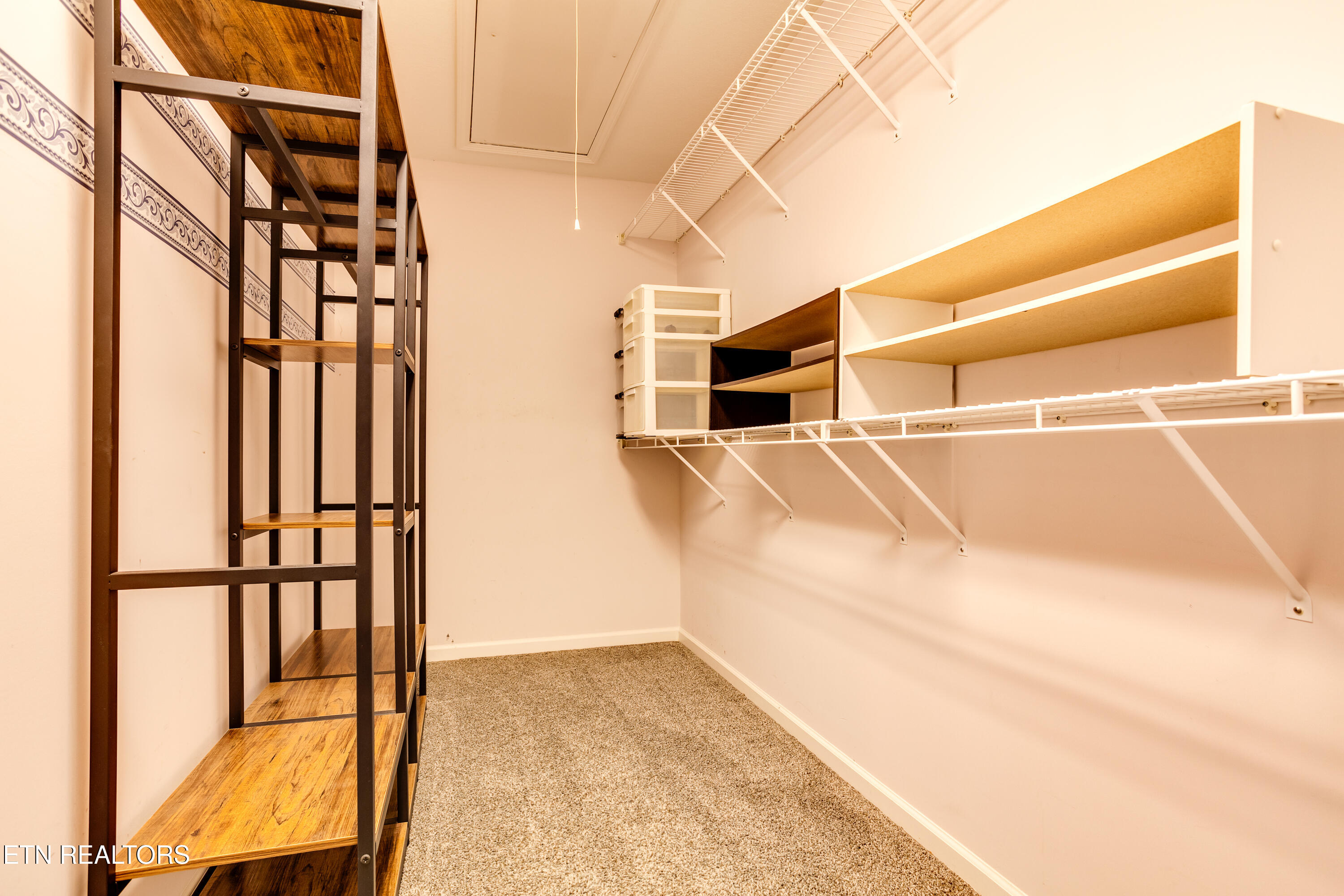 4604 Angakot Road Corryton, TN 37721 - Photo 23 of 30 23 Primary Closet