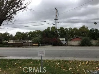 a view of a water fountain and a big tree