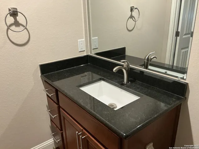 a view of a yard with plants and a large tree