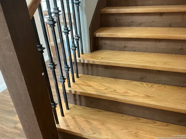 a view of a forest with trees in the background