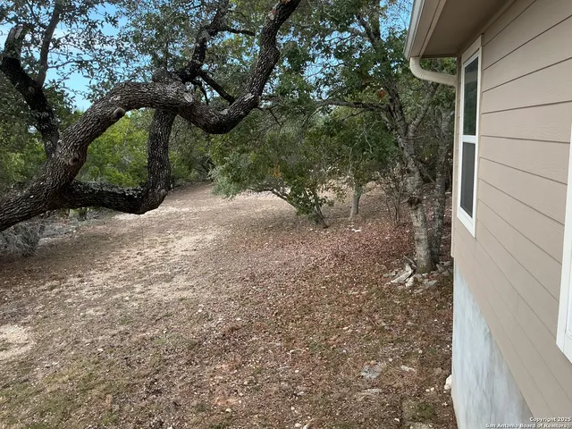 a view of a yard with trees
