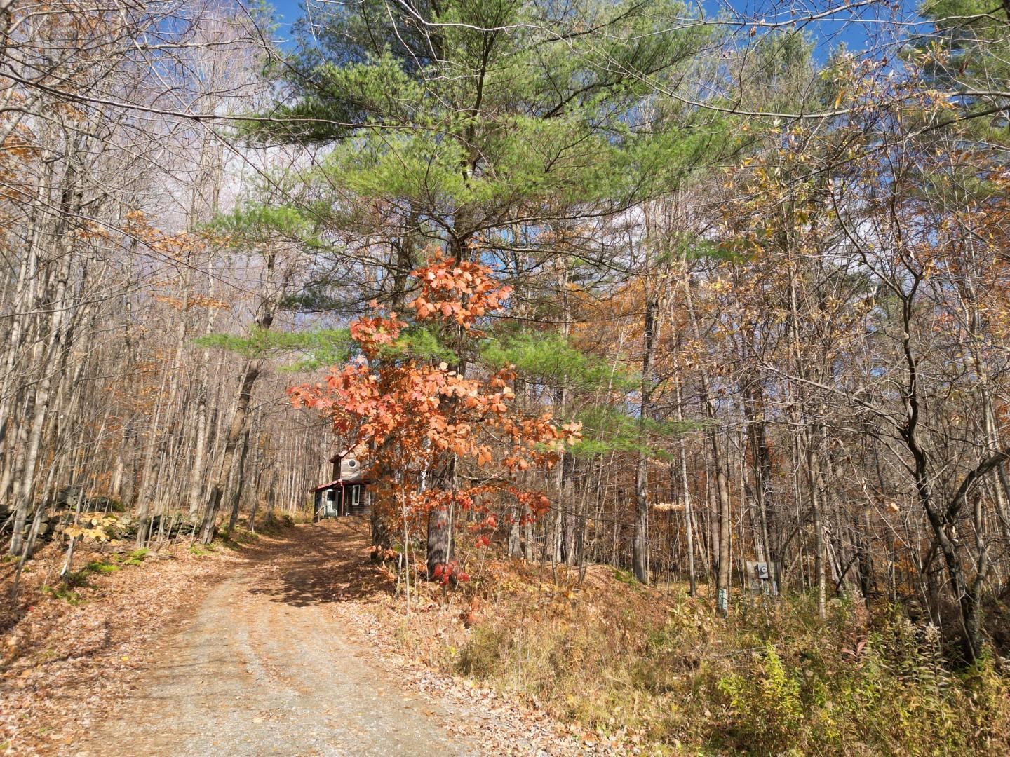 2913 Lincoln Hill Road Hinesburg, VT 05461 - Photo 5 of 18 Gallery Image 5