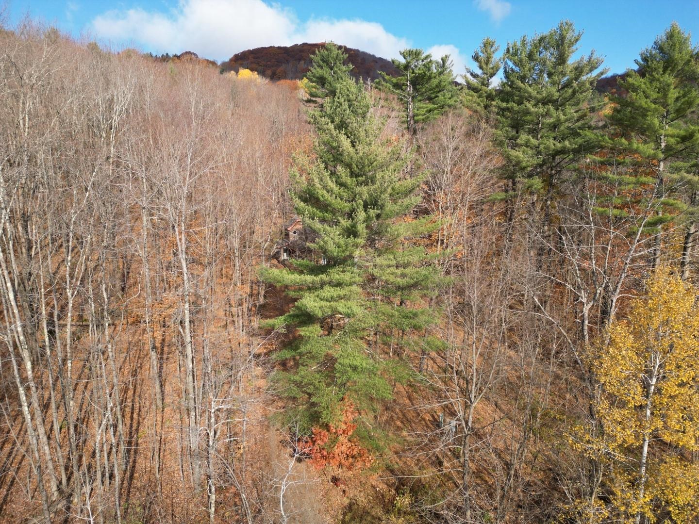 2913 Lincoln Hill Road Hinesburg, VT 05461 - Photo 6 of 18 Gallery Image 6