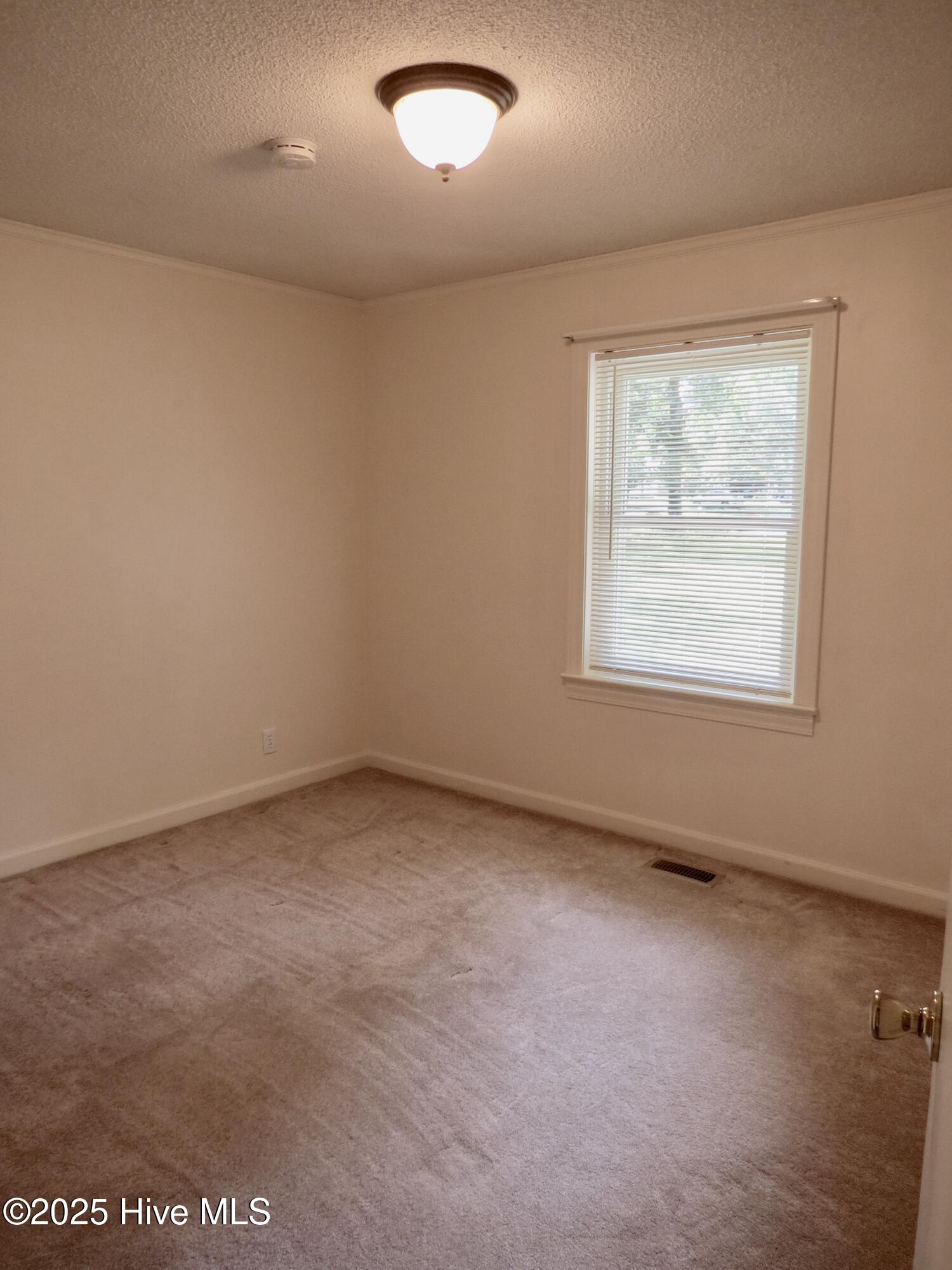 232 Tiptoe Road Edenton, NC 27932 - Photo 8 of 32 Bedroom 2