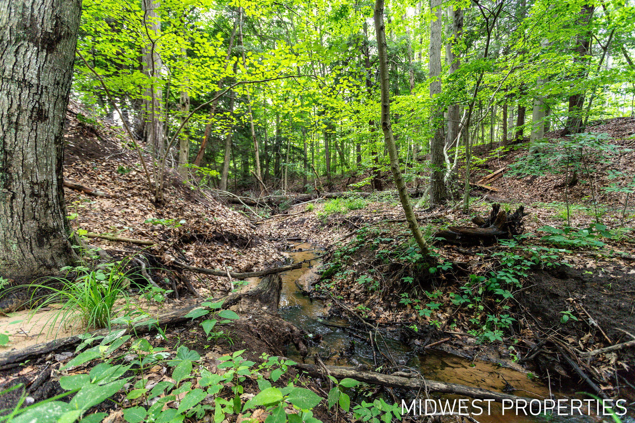 6315 South Brooks Road Fruitport, MI 49415 - Photo 11 of 31 10-web-or-mls-6315-s-brooks-rd