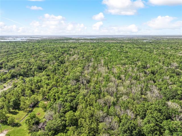 1558 Bayou Road St. Bernard, LA 70085 - Photo 5 of 20