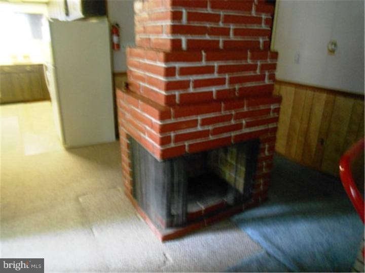 8 Carlisle Road Newark, DE 19713 - Photo 14 of 15 Fireplace