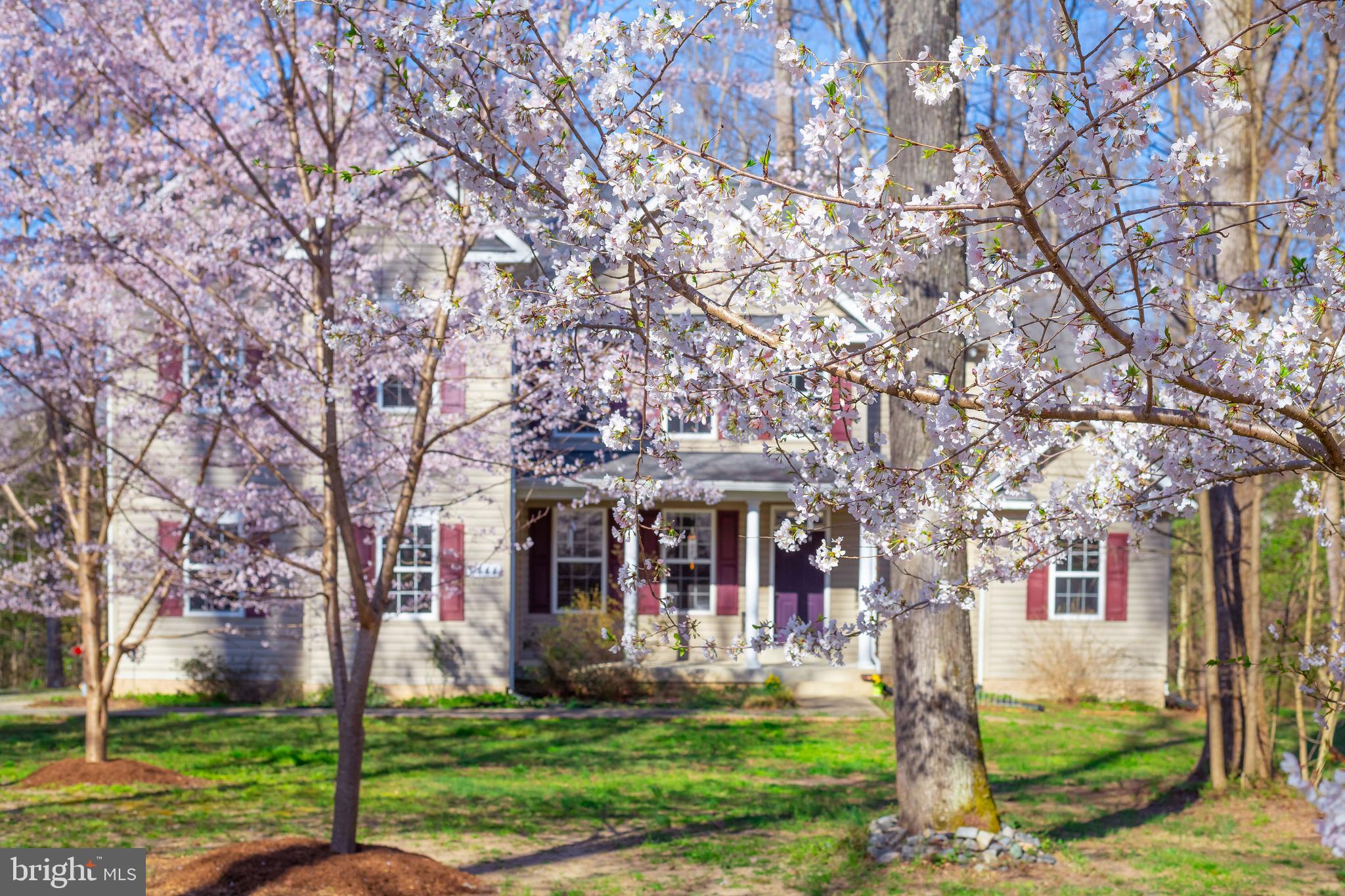 6444 St Pauls Road King George, VA 22485 - Photo 2 of 42 Beautiful Spring time trees surround you!