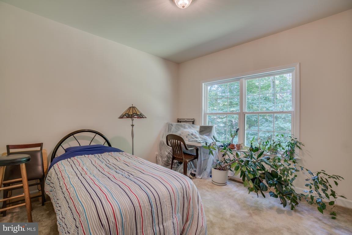 6444 St Pauls Road King George, VA 22485 - Photo 22 of 42 Main level den/office or guest bedroom!