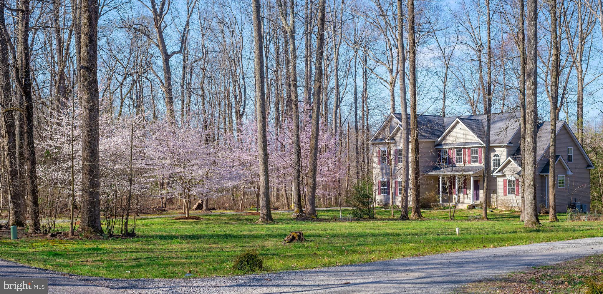 6444 St Pauls Road King George, VA 22485 - Photo 4 of 42 Spring time!