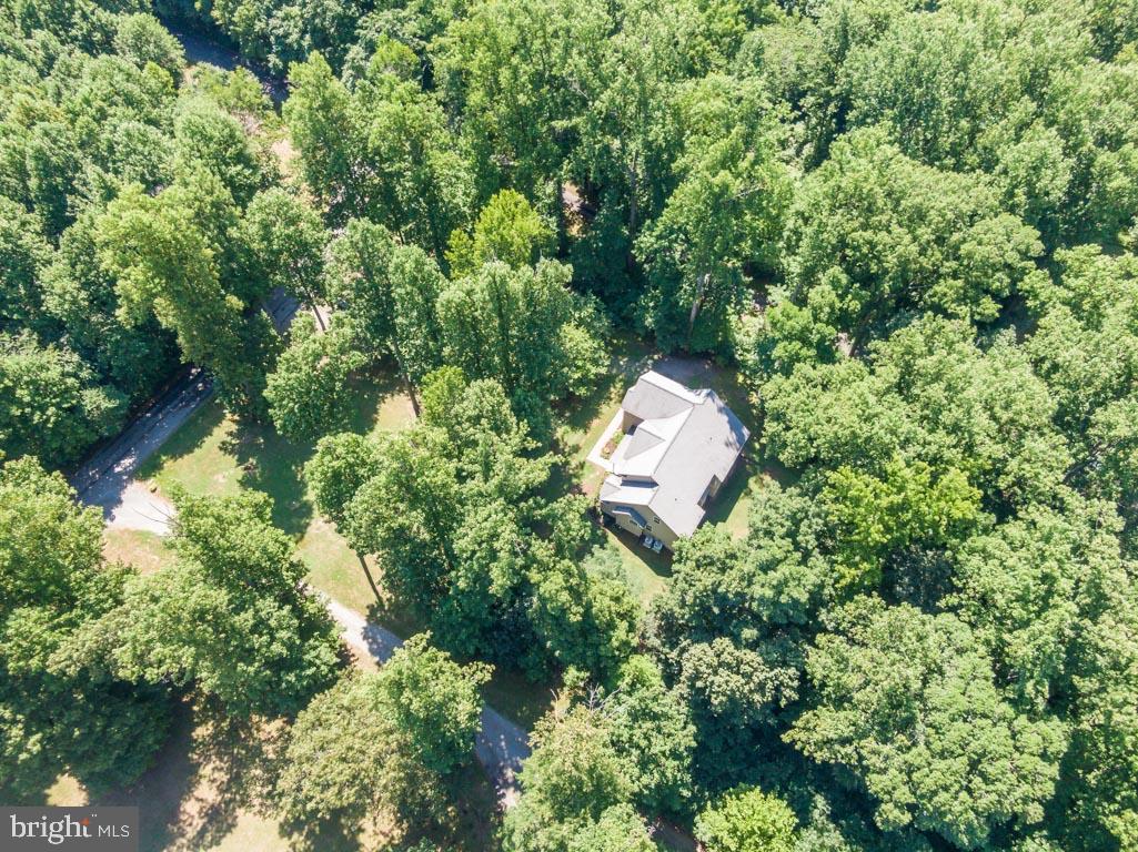 6444 St Pauls Road King George, VA 22485 - Photo 7 of 42 Surrounded by your own private 16 acres!!