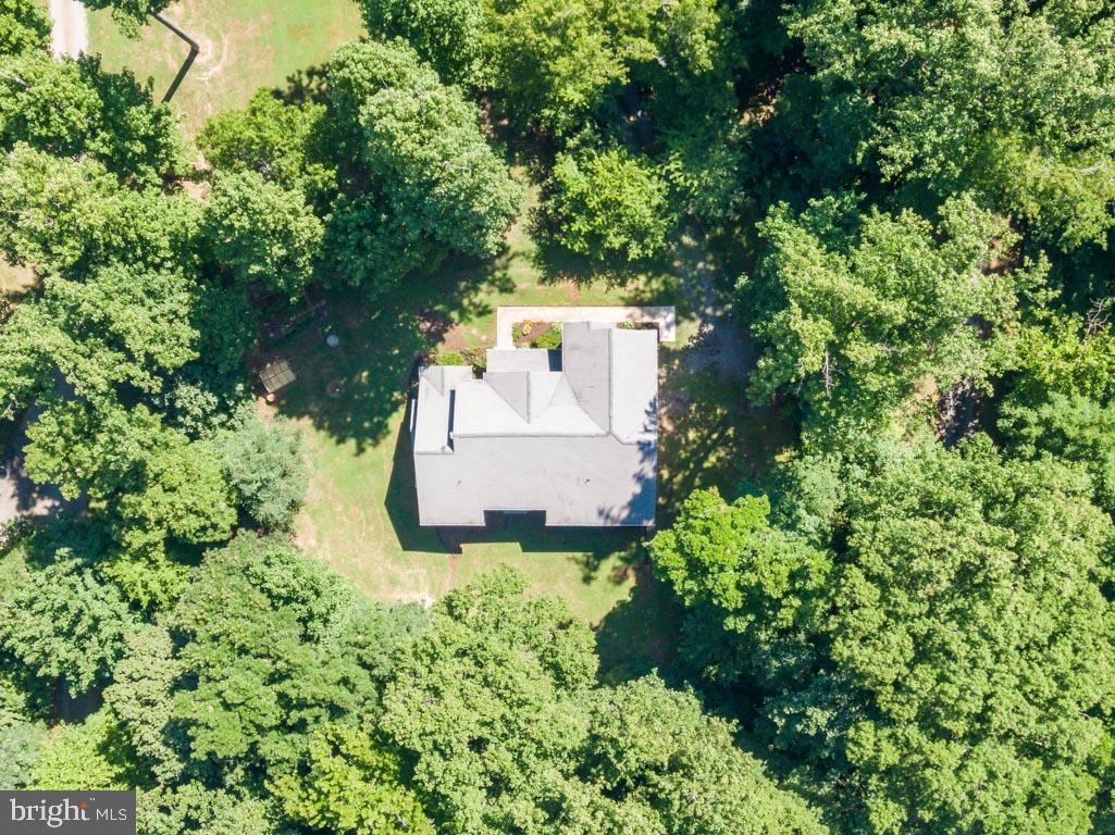 6444 St Pauls Road King George, VA 22485 - Photo 9 of 42 Large lot, lots of privacy!