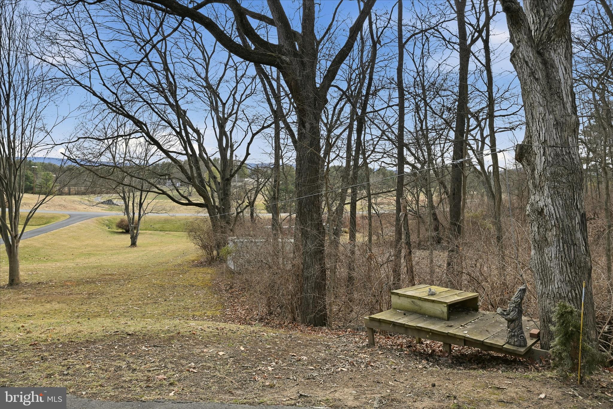 783 Bowling Green Road Front Royal, VA 22630 - Photo 61 of 77 Landscape