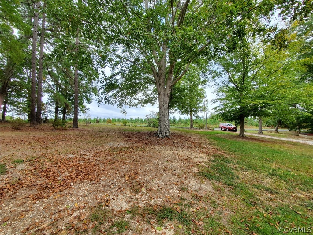 10140 Reed Rock Road Amelia Court House, VA 23002 - Photo 2 of 27 a view of outdoor space with green field and trees