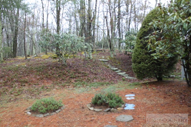 372 Heritage Ridge Road Boone, NC 28607 - Photo 3 of 34 a view of a forest with trees in the background