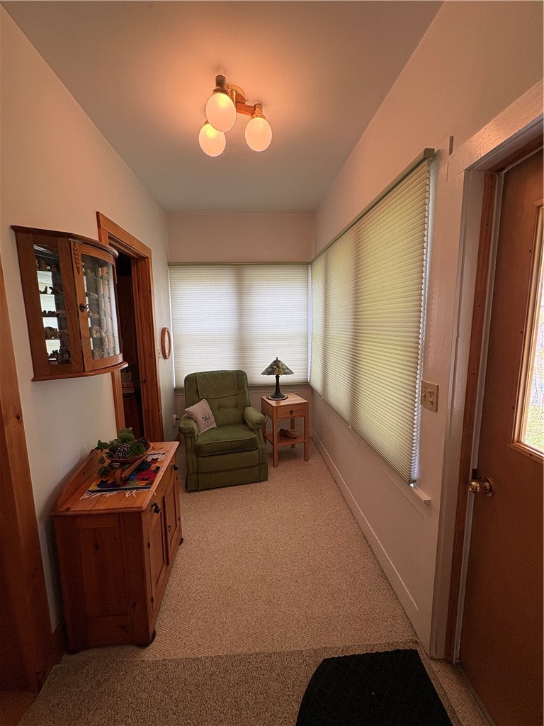 1431 River Road Sidney, NY 13849 - Photo 14 of 43 entry porch