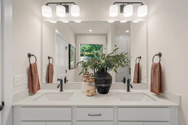 a bathroom with a sink a potted plant and a mirror