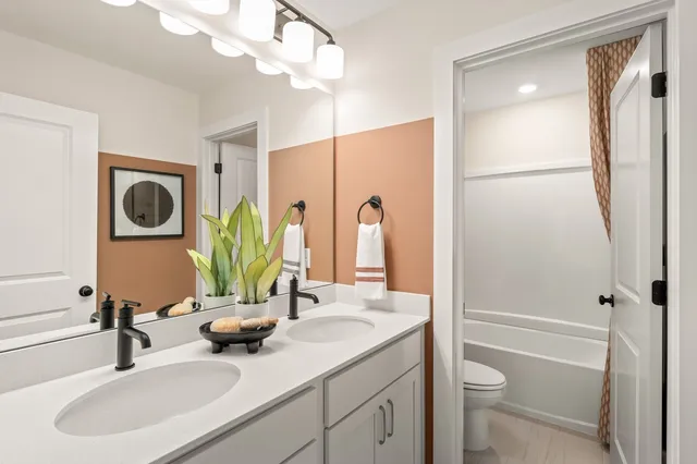 a bathroom with a sink a toilet and a mirror