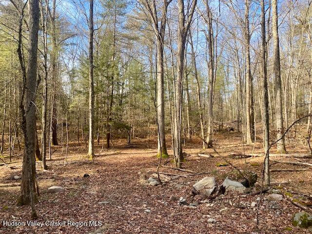 Tbd Wynkoop Road Olivebridge, NY 12461 - Photo 12 of 19 IMG_1788