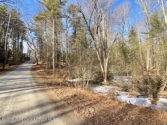 Tbd Wynkoop Road Olivebridge, NY 12461 - Photo 14 of 19 IMG_1790