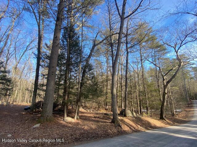 Tbd Wynkoop Road Olivebridge, NY 12461 - Photo 2 of 19 IMG_1777