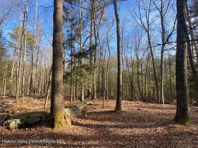 Tbd Wynkoop Road Olivebridge, NY 12461 - Photo 3 of 19 IMG_1779