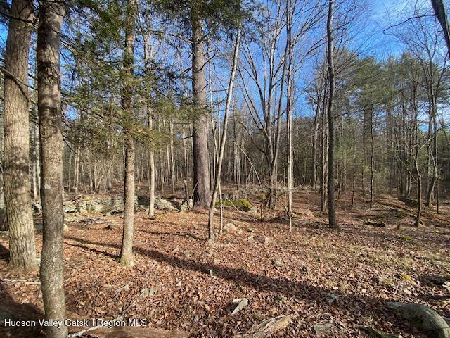 Tbd Wynkoop Road Olivebridge, NY 12461 - Photo 4 of 19 IMG_1781