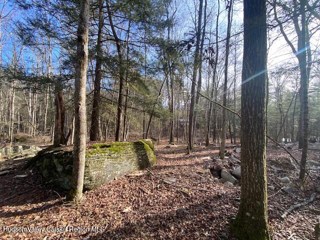 Tbd Wynkoop Road Olivebridge, NY 12461 - Photo 5 of 19 IMG_1782