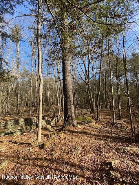 Tbd Wynkoop Road Olivebridge, NY 12461 - Photo 6 of 19 IMG_1780