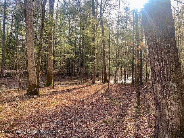 Tbd Wynkoop Road Olivebridge, NY 12461 - Photo 10 of 19 IMG_1784