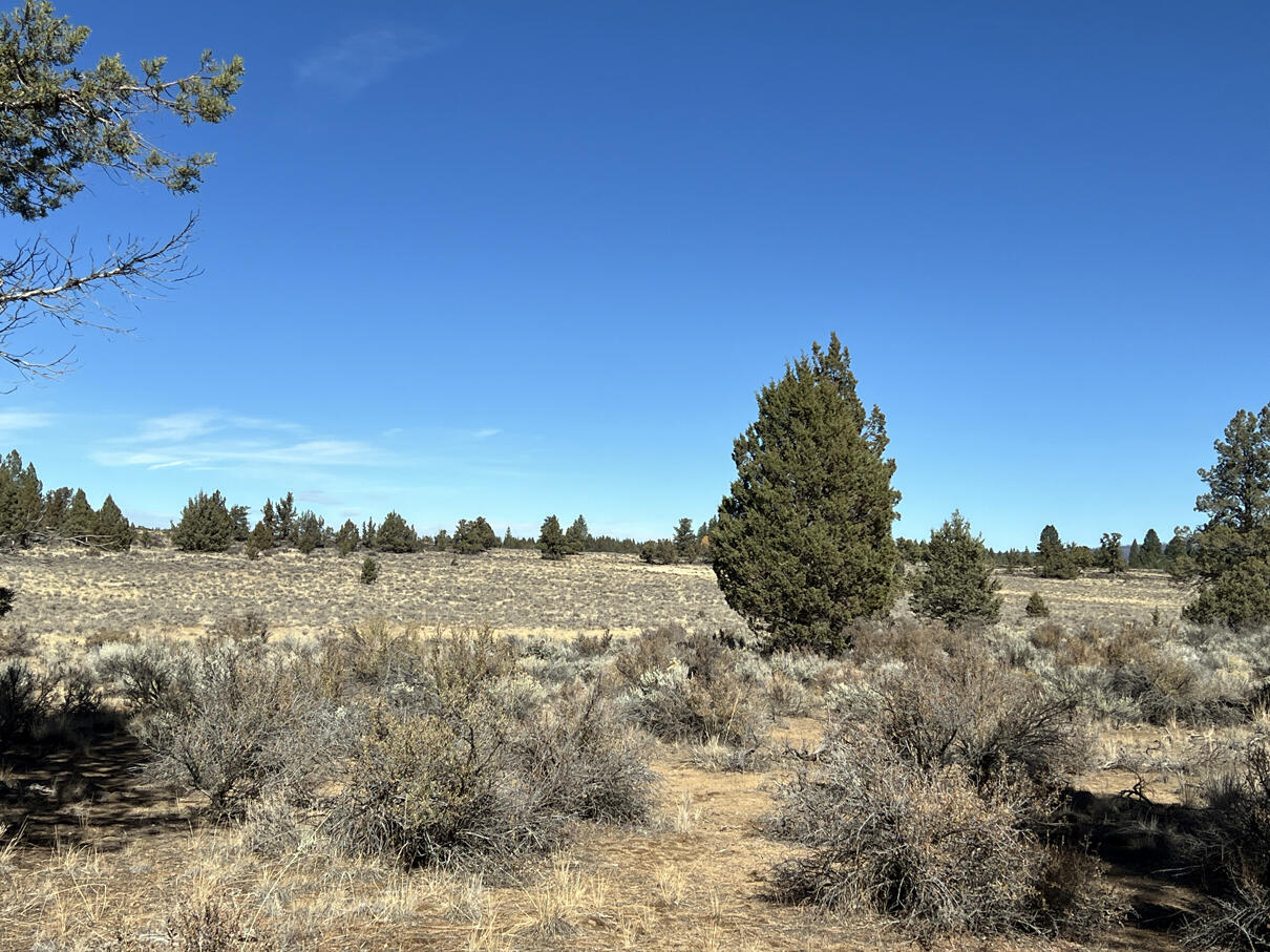 Oregon Pines Road, Unit TL 600 Sprague River, OR 97639 - Photo 23 of 52 IMG_4302
