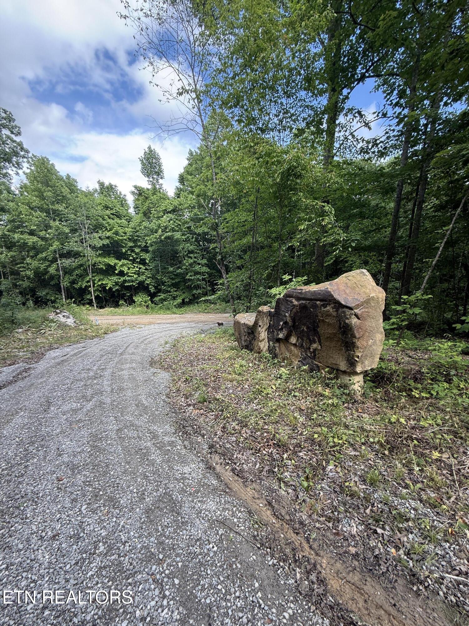 549 Defender Road La Follette, TN 37766 - Photo 35 of 42 Driveway