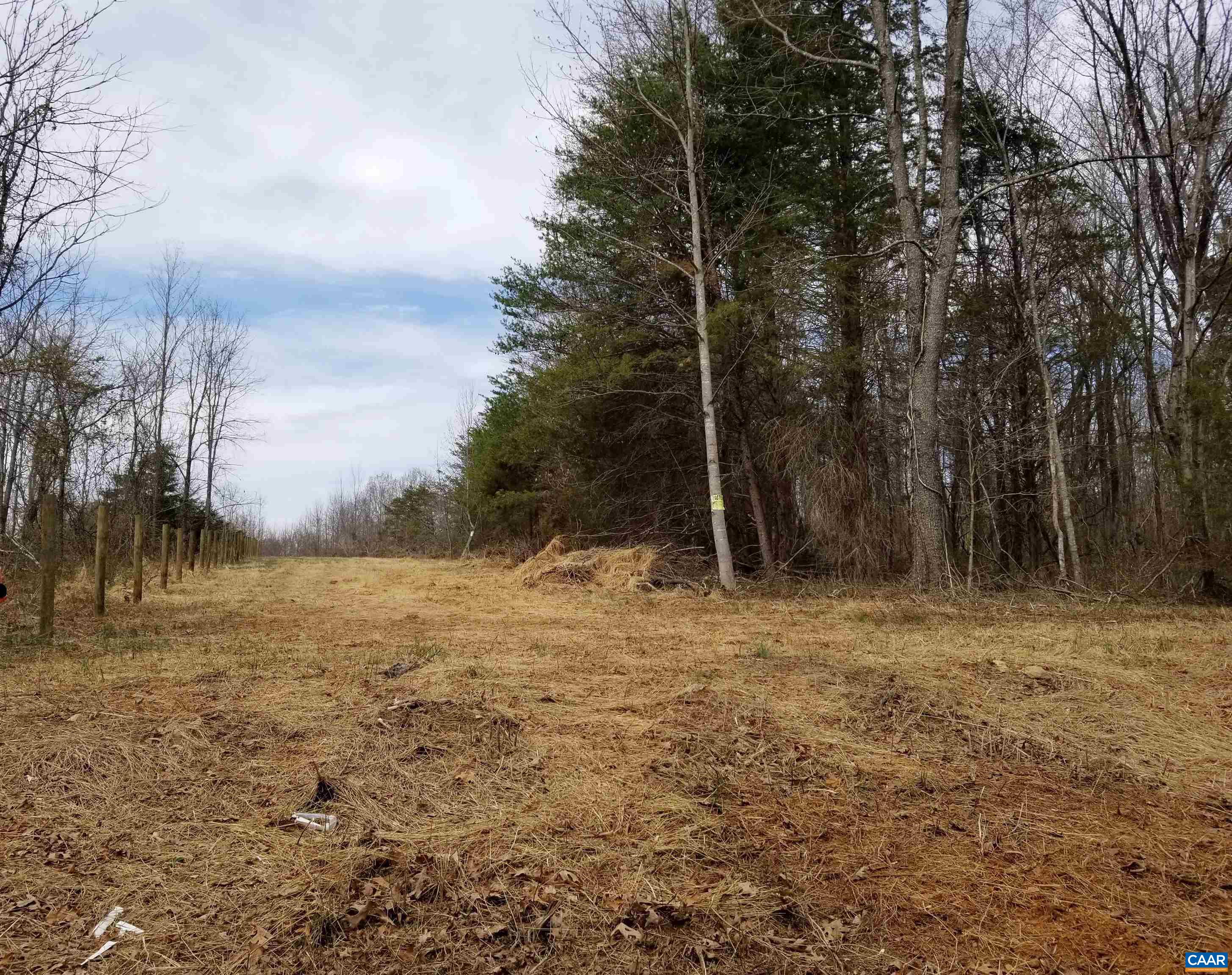 Twymans Mill Road Madison, VA 22727 - Photo 3 of 5 a view of a yard with an trees