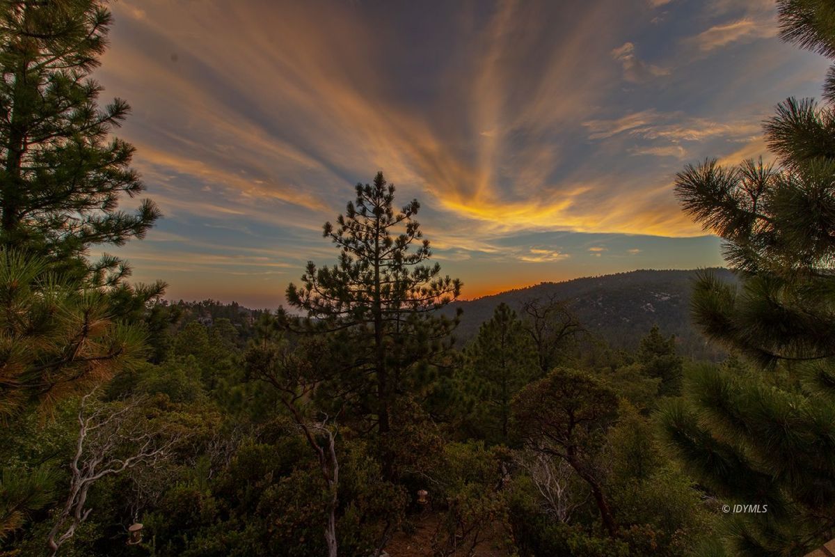 54283 Valley-View Idyllwild, CA 92549 - Photo 48 of 54 Untitled