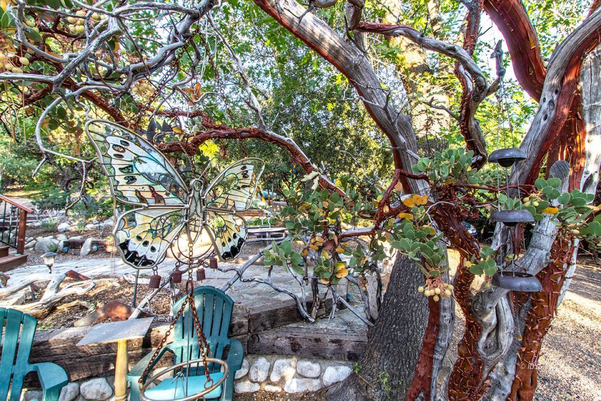 54283 Valley-View Idyllwild, CA 92549 - Photo 8 of 54 Untitled