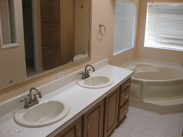 3252 West Wander Road New River, AZ 85087 - Photo 6 of 20 MASTER BATH