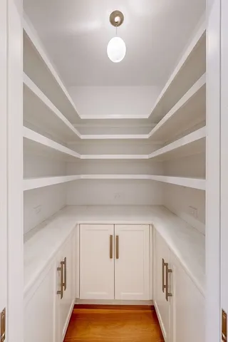 a view of an empty walk in closet with empty racks