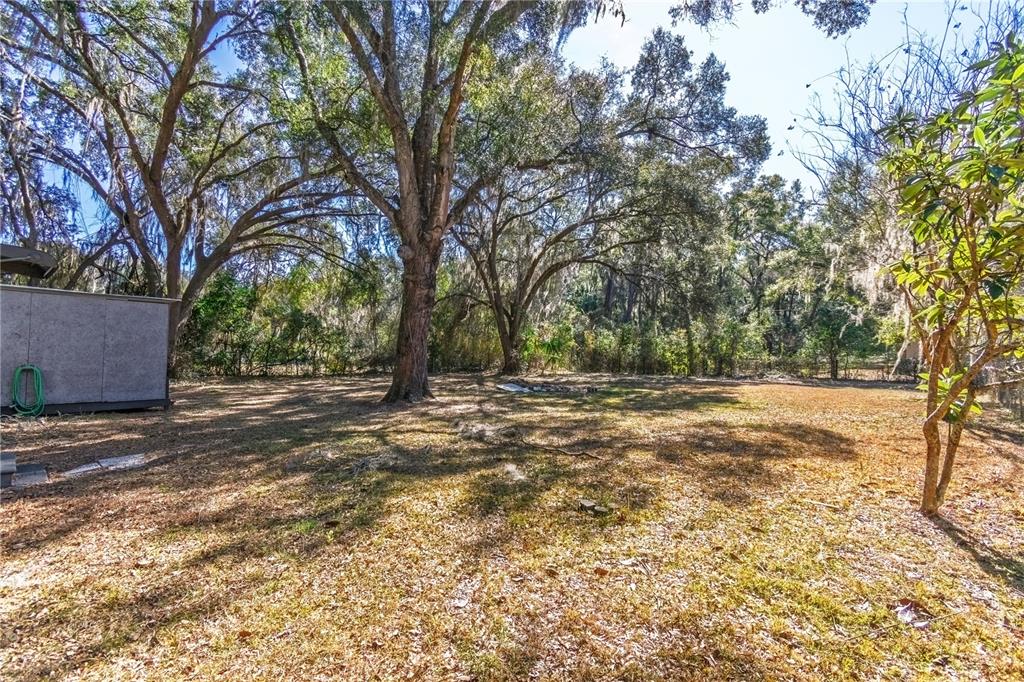 2958 Northeast 161 Place Citra, FL 32113 - Photo 22 of 26 a view of outdoor space with yard