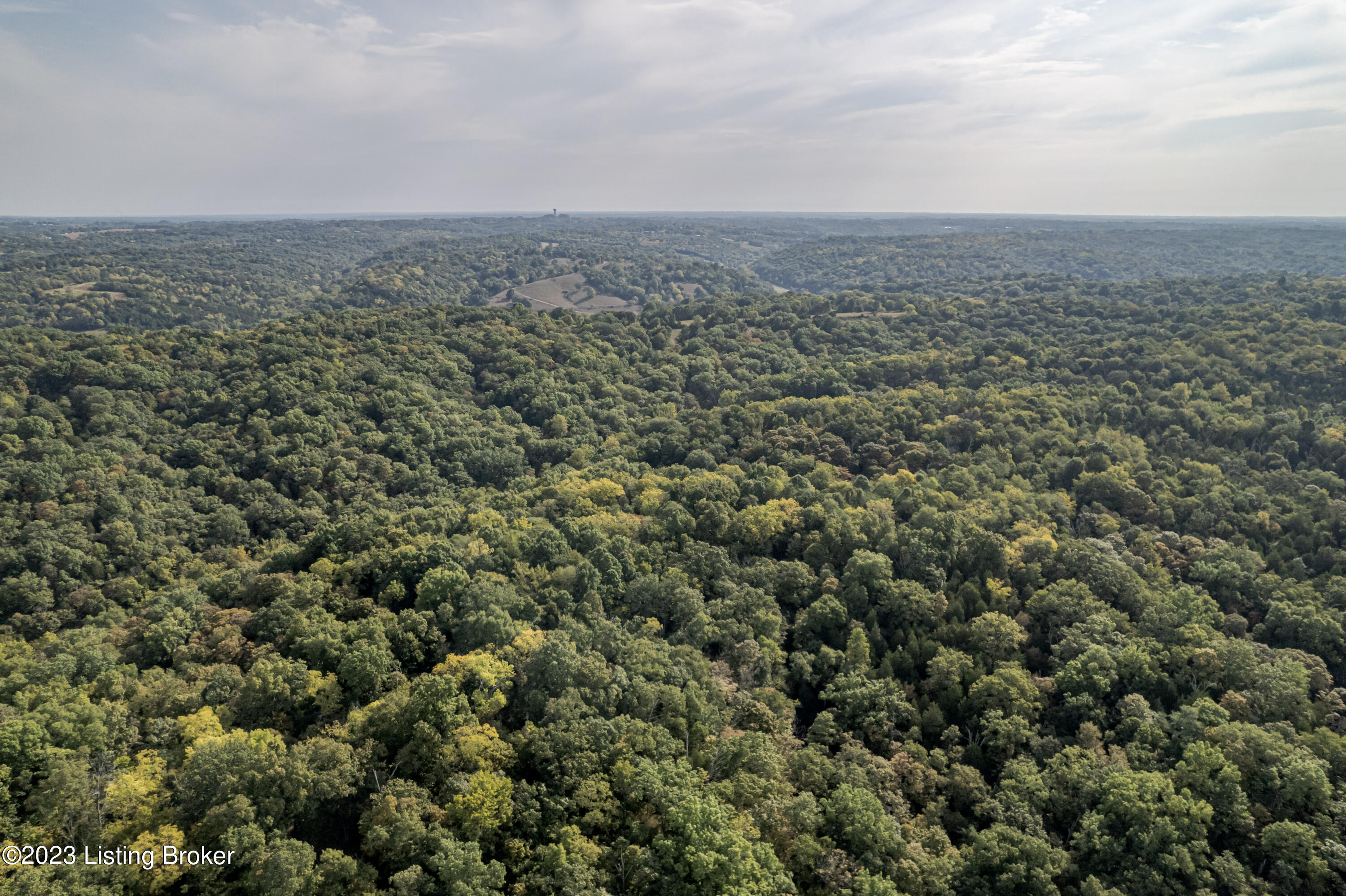 8001 Covington Ridge Road La Grange, KY 40031 - Photo 18 of 27 DJI_0843