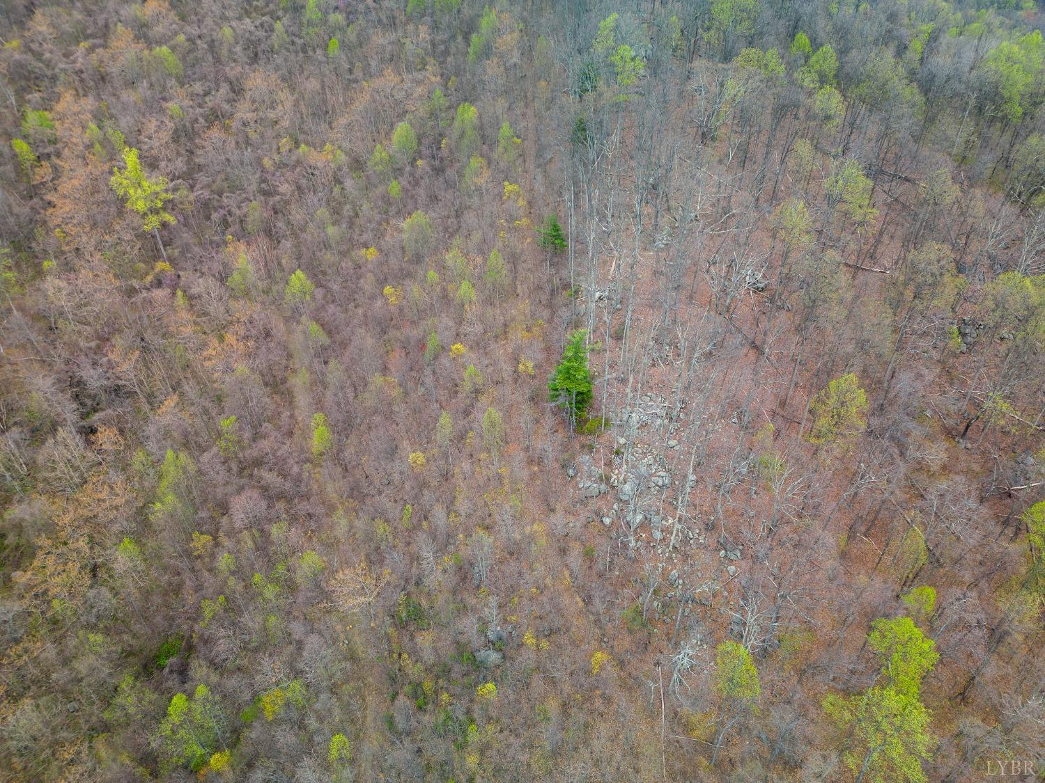 0 Wares Gap Road Monroe, VA 24574 - Photo 16 of 37 a backyard with a white wall