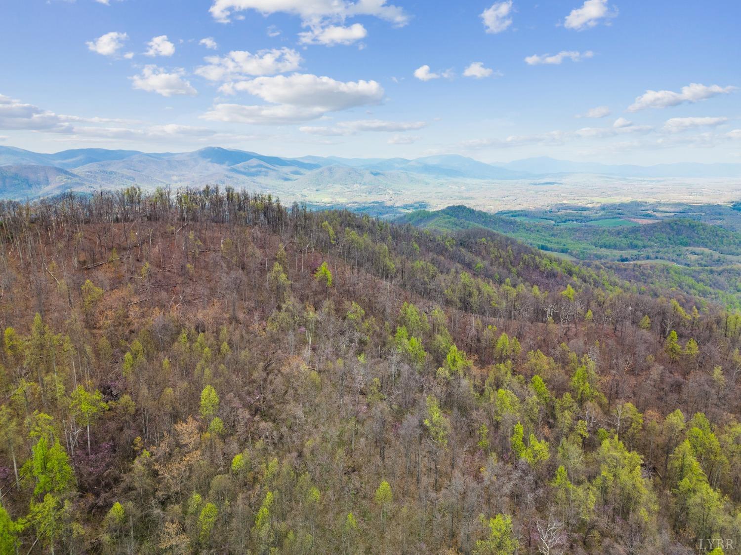 0 Wares Gap Road Monroe, VA 24574 - Photo 18 of 37 a view of a city and mountains in the background