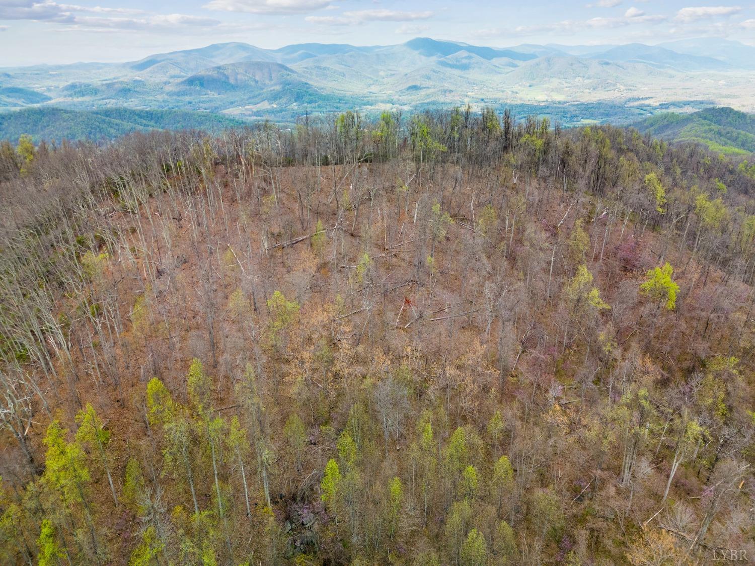 0 Wares Gap Road Monroe, VA 24574 - Photo 20 of 37 a view of mountain with lake view