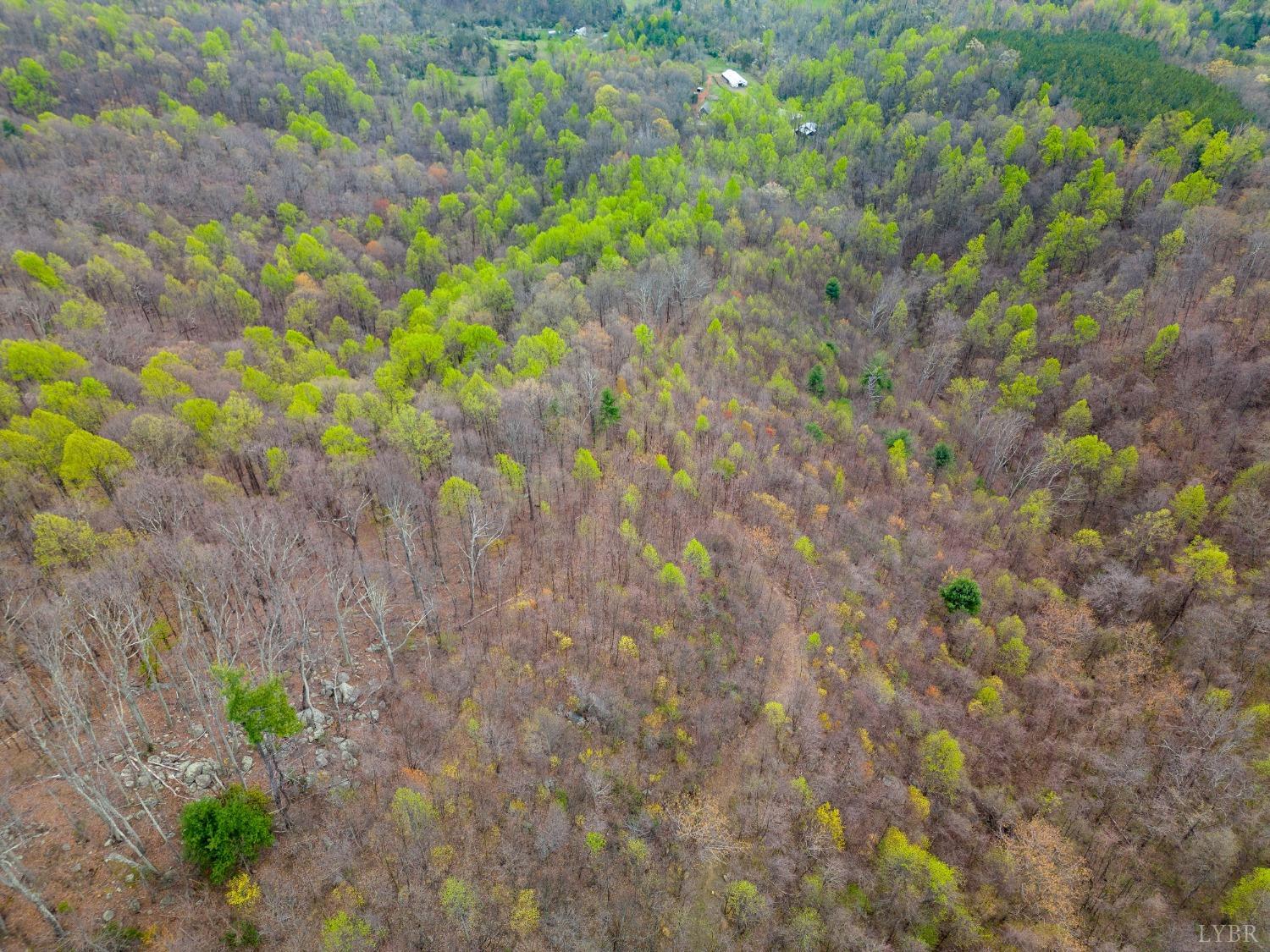 0 Wares Gap Road Monroe, VA 24574 - Photo 24 of 37 a backyard with plants