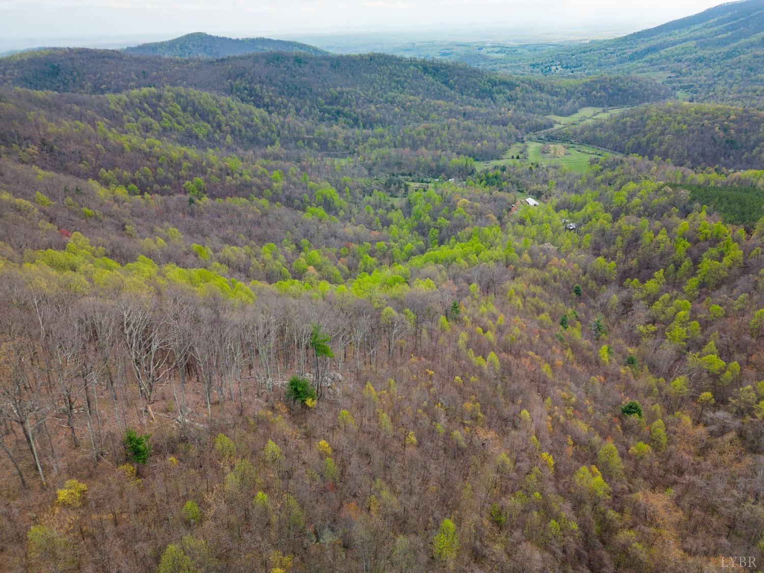 0 Wares Gap Road Monroe, VA 24574 - Photo 25 of 37 a view of a lush green field