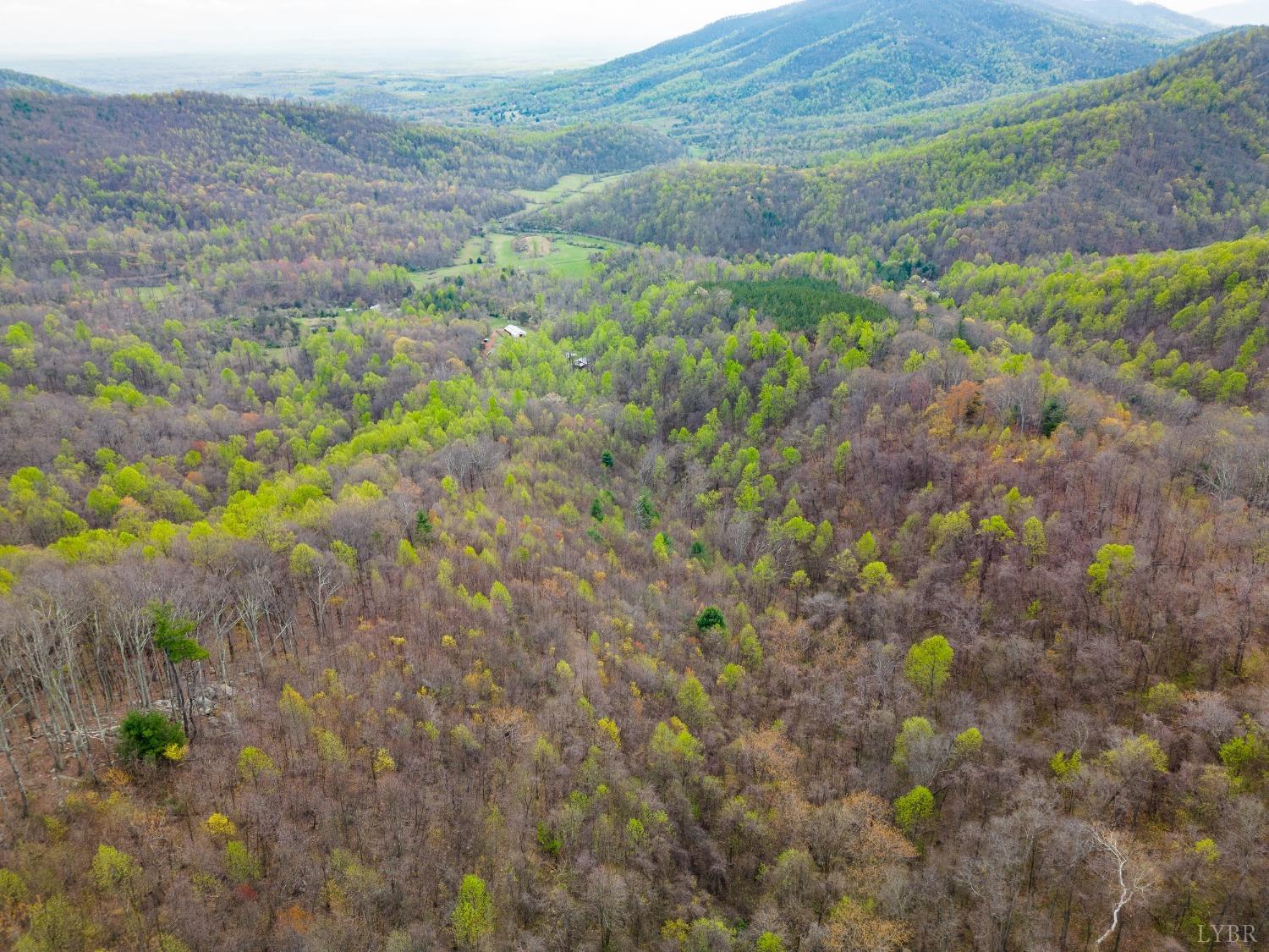 0 Wares Gap Road Monroe, VA 24574 - Photo 26 of 37 a view of a garden with a plant